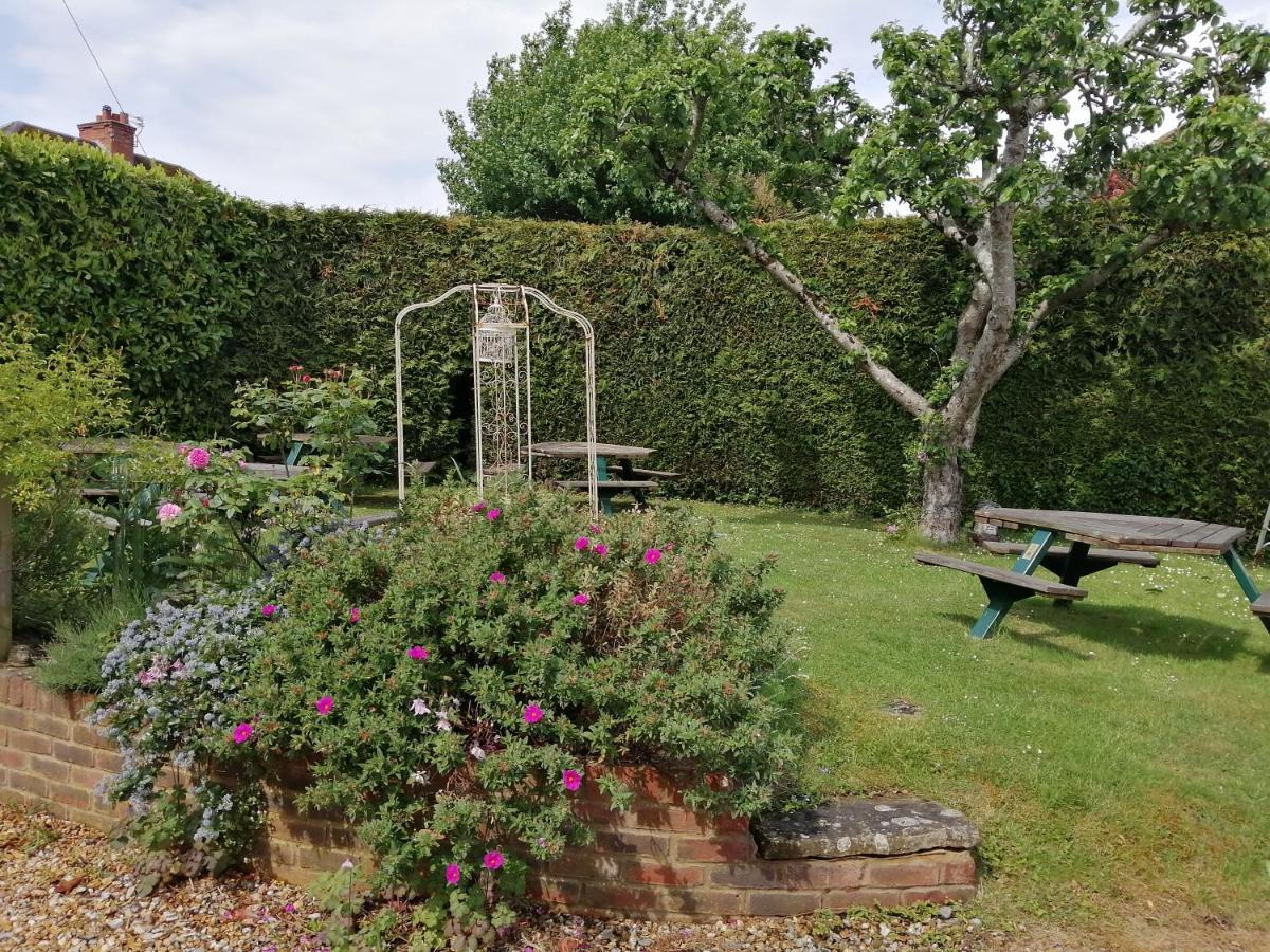 The Willows Shillingstone Bagian luar foto